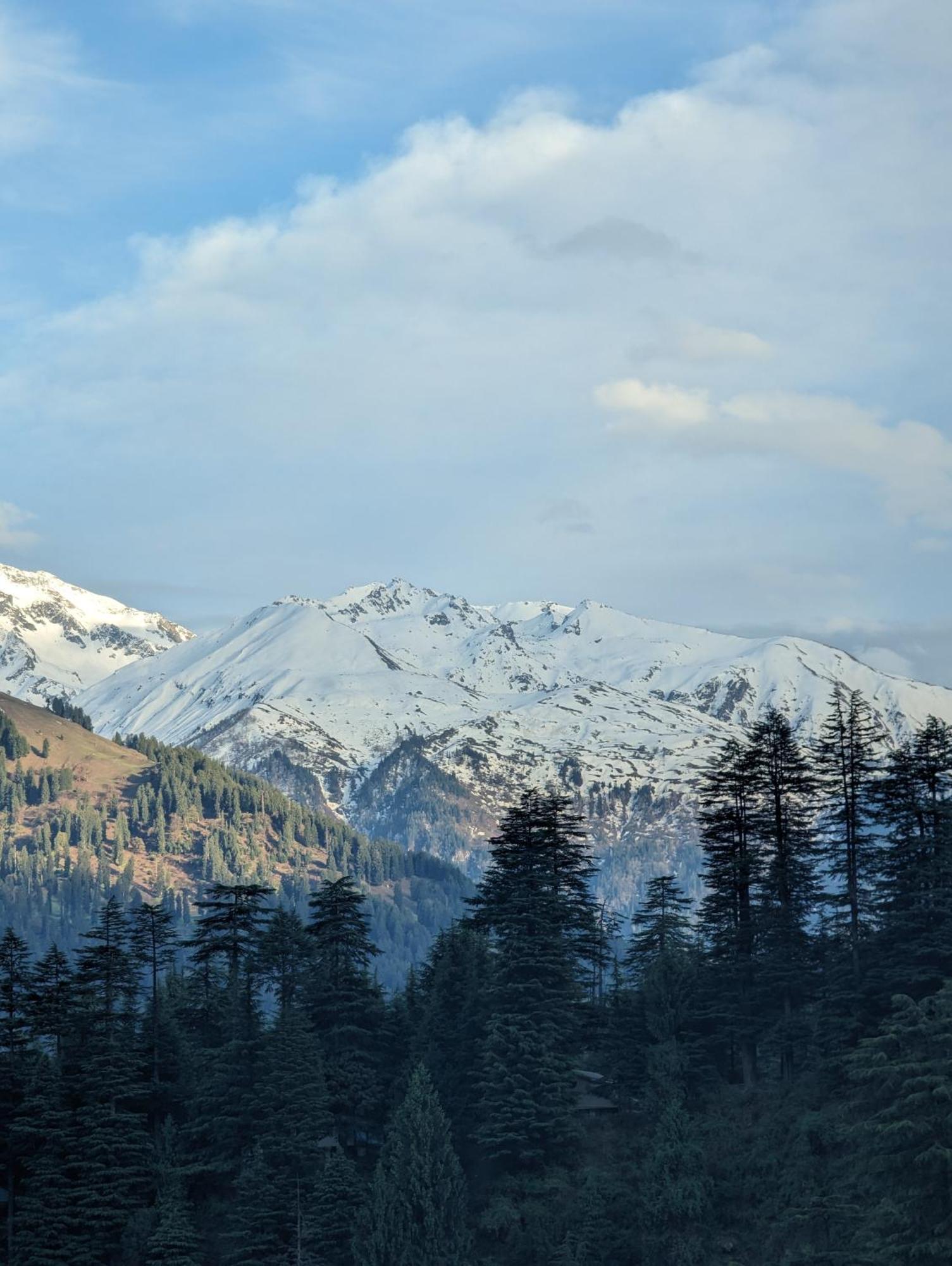 Attic Monkey Cafe & Rooms Manali  Luaran gambar