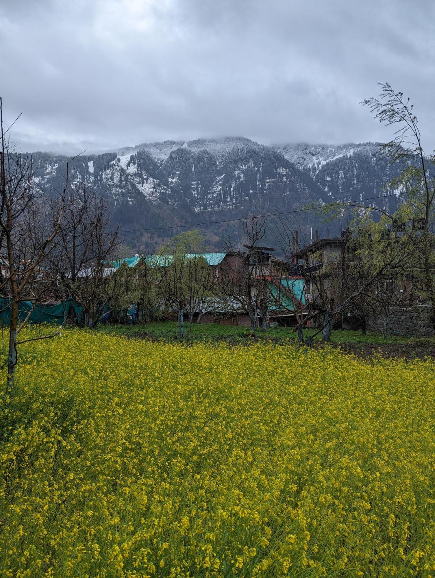 Attic Monkey Cafe & Rooms Manali  Luaran gambar